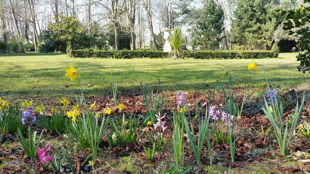 Manoir De La Marjolaine Bed & Breakfast